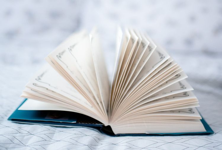 Book Rec: The Botanist's Assistant