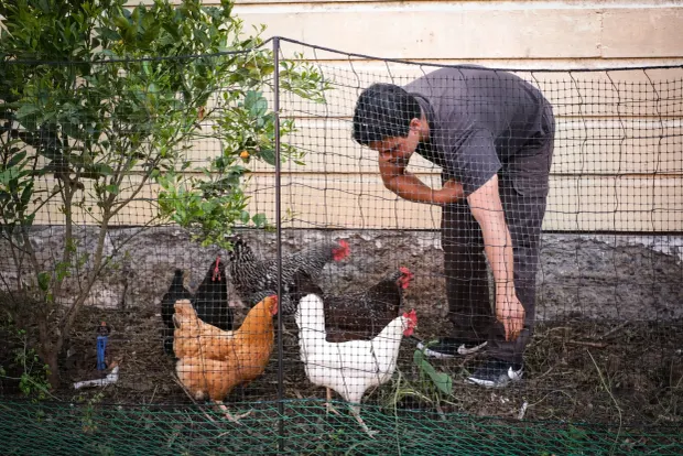 Carabao Farms helps create an archipelago of neighborhood gardens in San Francisco