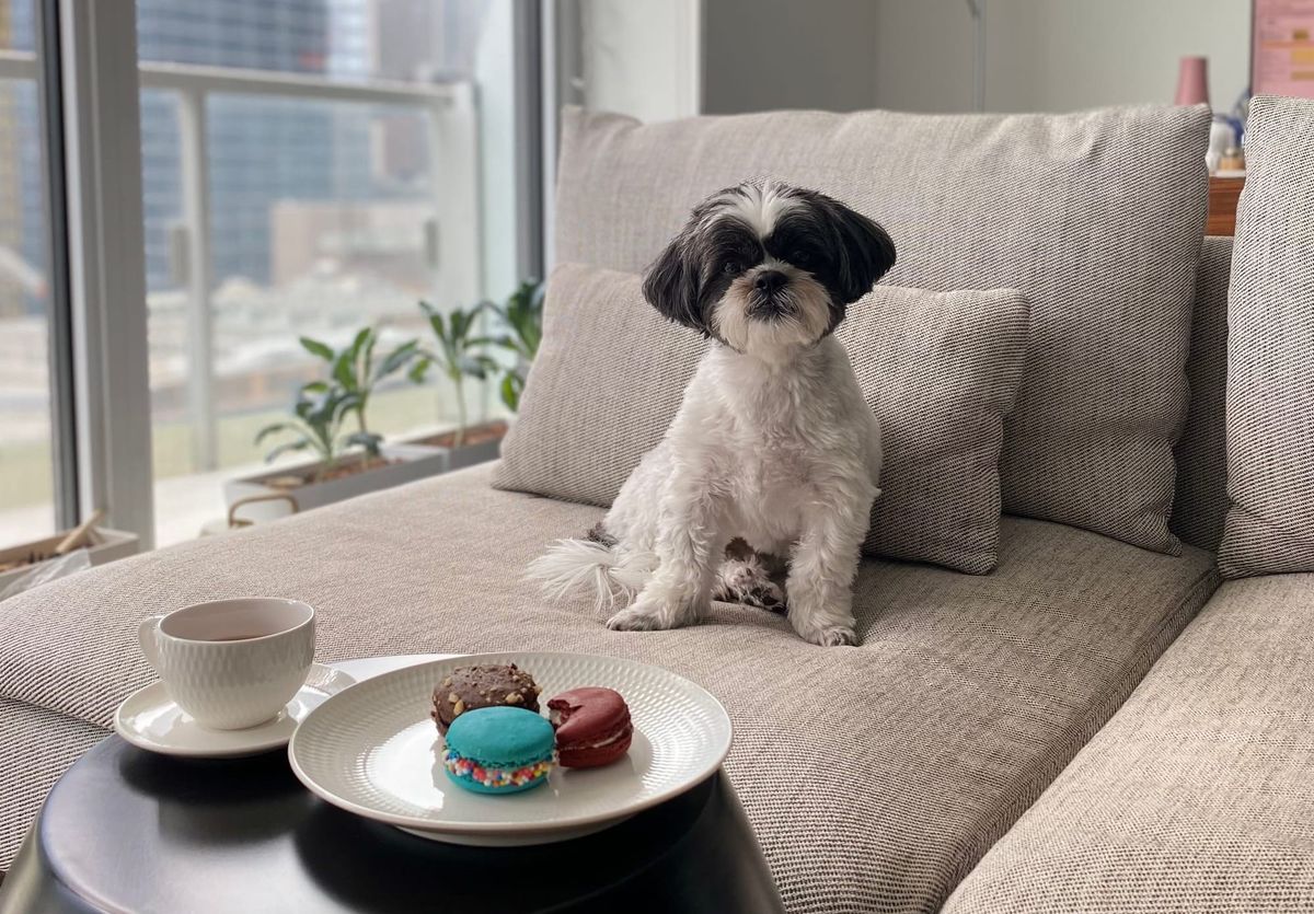 Preparing for May 1: Product updates to support the Renters’ Rights Act