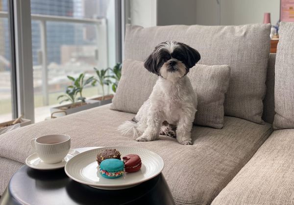 Preparing for May 1: Product updates to support the Renters’ Rights Act