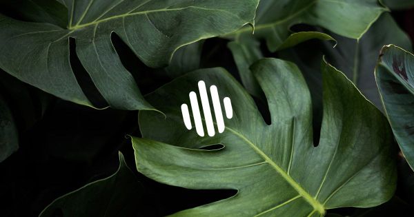 Sacred Capital: AMA Summary from our Forum