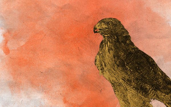 Taylor: A Passionate Young Holochain Developer