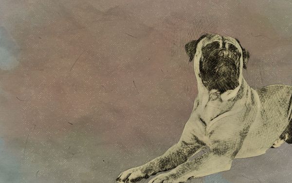 TVG, An Unlikely Community Voice and Advocate