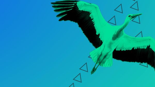 Say Hello to the New Holochain Blog