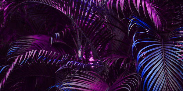 How To Break a Holo App