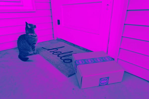 New Releases Everywhere