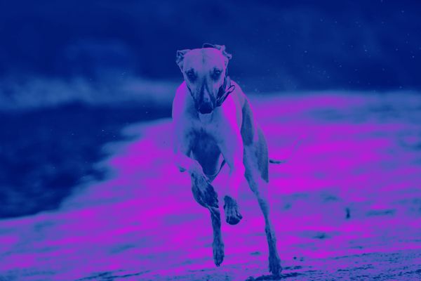 Big Performance Boosts