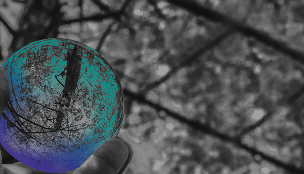 Economy as Ecosystem