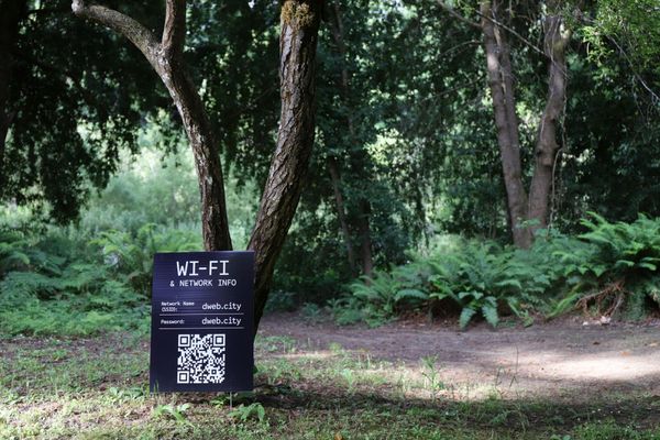 Emergence: Lessons in Contextual Complexity