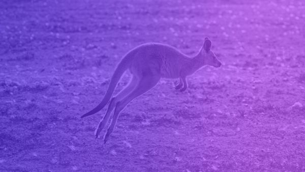 Bundle Your hApp in a Kangaroo Pouch