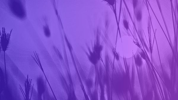 Holochain 0.2 is here!