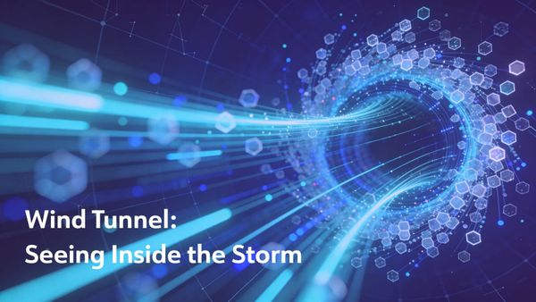 Wind Tunnel: Seeing Inside the Storm