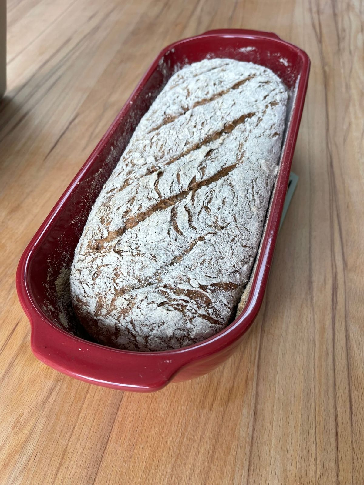 Welk bakblik werkt het beste voor glutenvrij brood?