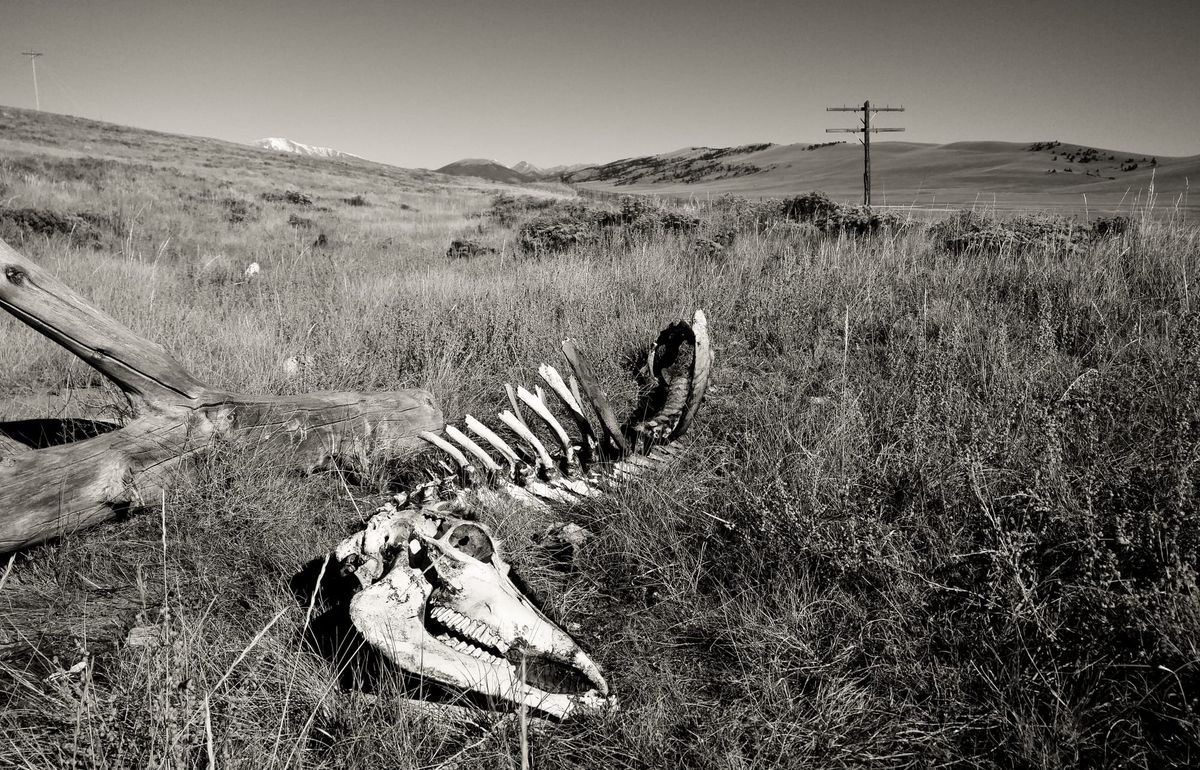Colorado - a warning about the scheming dirty data center McCormicks
