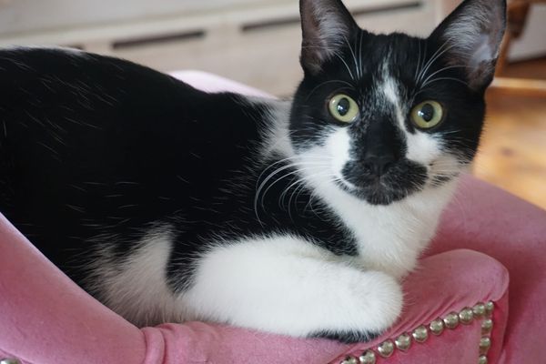 Letter to Congressman Ryan Mackenzie - Big Bogus Bill