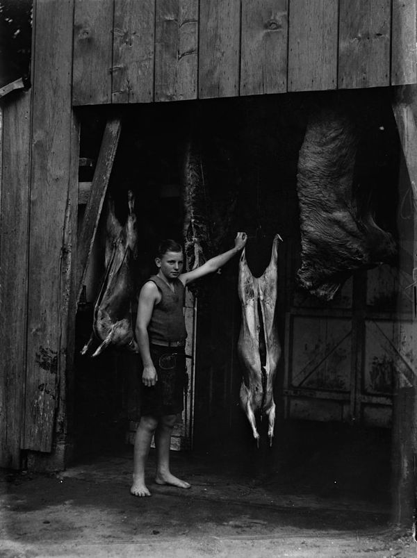 Like sheep to slaughter, Government and the AI CONundrum