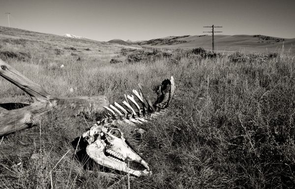 Colorado - a warning about the scheming dirty data center McCormicks