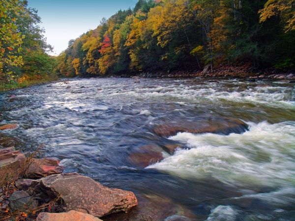 Democrat or Republican - doesn't matter. They sold out Pennsylvania to tech lords, vulture and pirate equity, fossil fuels, and energy companies.