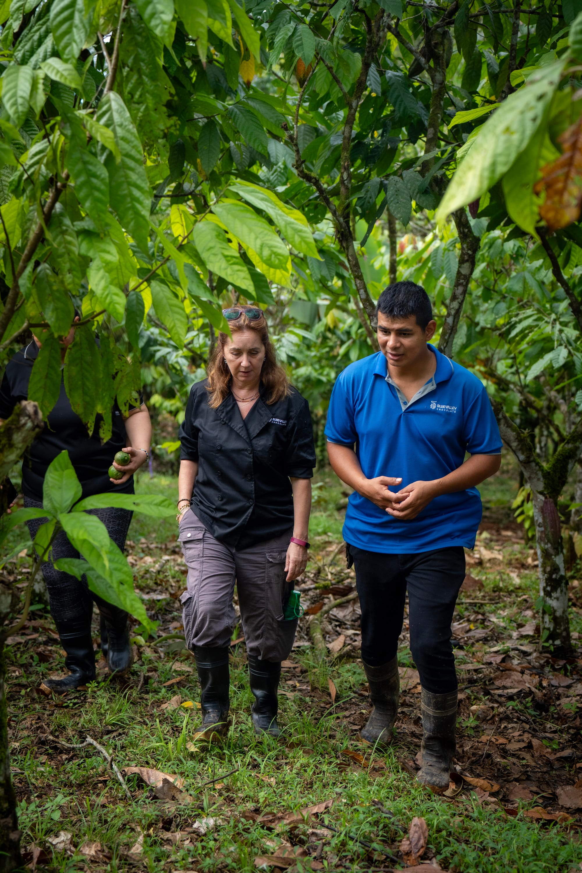 The Chain of Custody: From Tree to Bar