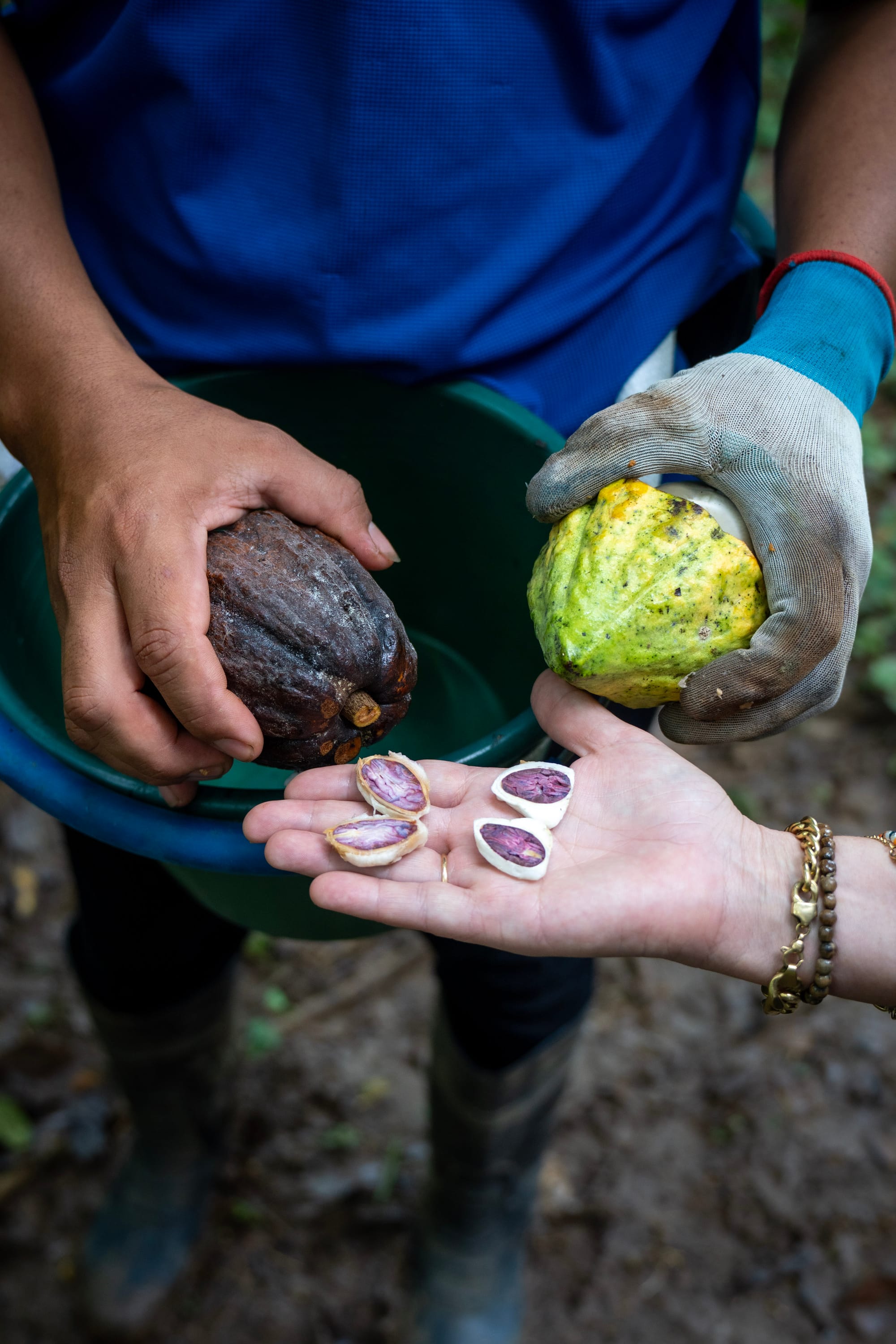 The Sacred Geometry of the Farm: How Maleku Land Stewardship Reflects Balance, Cycles, and Respect