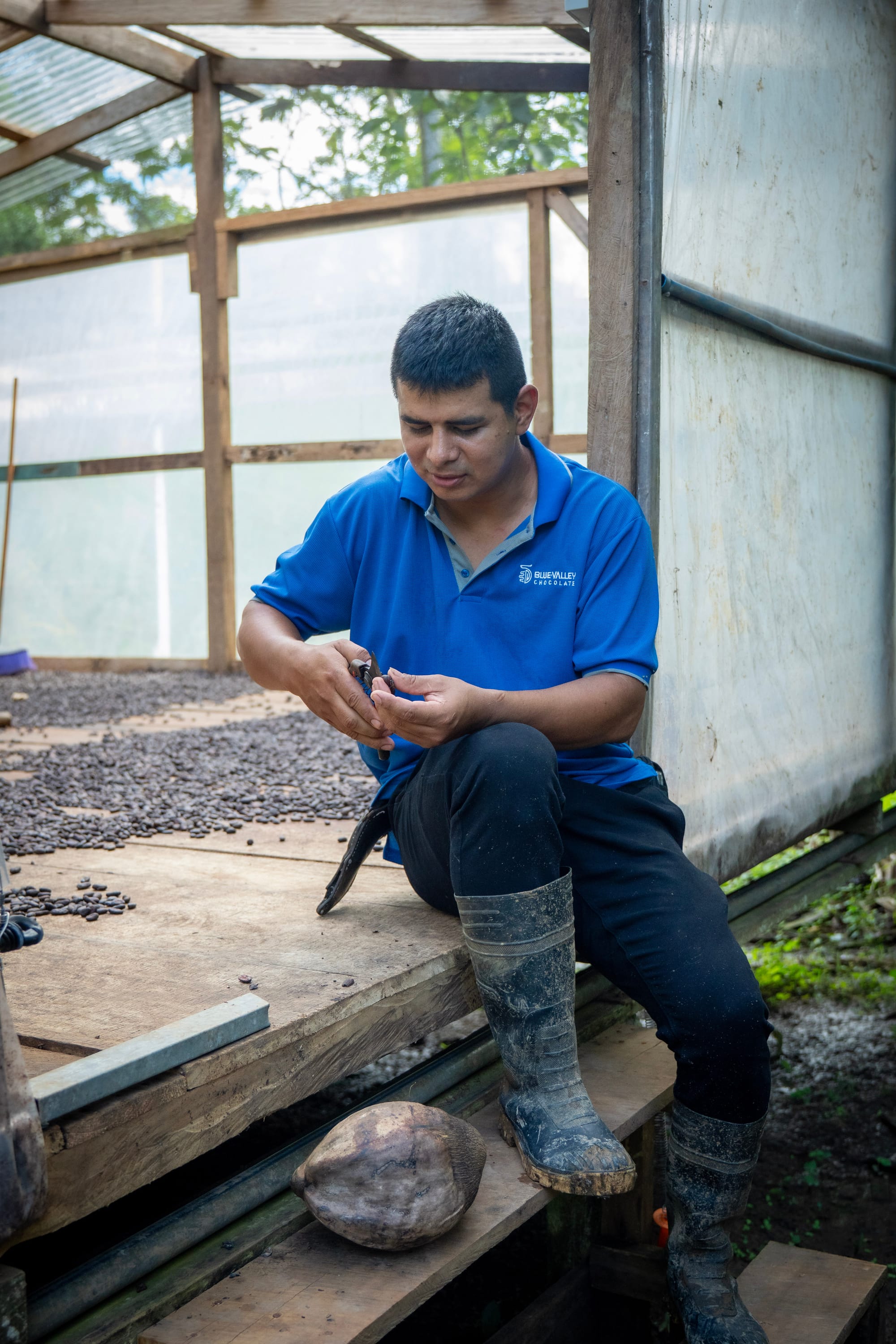 Purest Extraction: The Value of Single-Estate Cocoa Butter