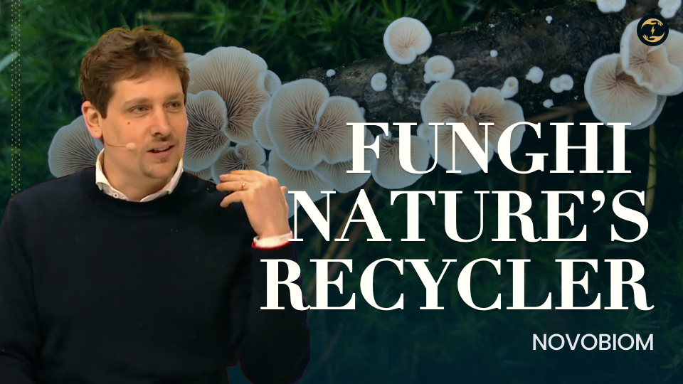 Novobiom Uses 3.8 Billion Years of Free R&D to Recycle Textiles
