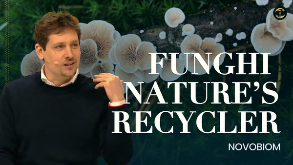 Novobiom Uses 3.8 Billion Years of Free R&D to Recycle Textiles