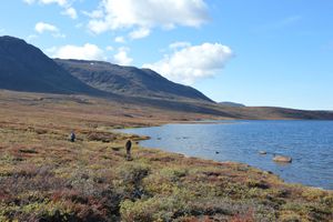 Arctic Circle Trail: Trekking durch Grönlands wilde Natur