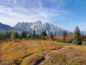Sextener Dolomiten: Almwanderung Seikofel - Alpe Nemes Hütte - Malga Coltrondo