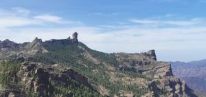 Wandern auf Gran Canaria: 7 traumhafte Wanderungen