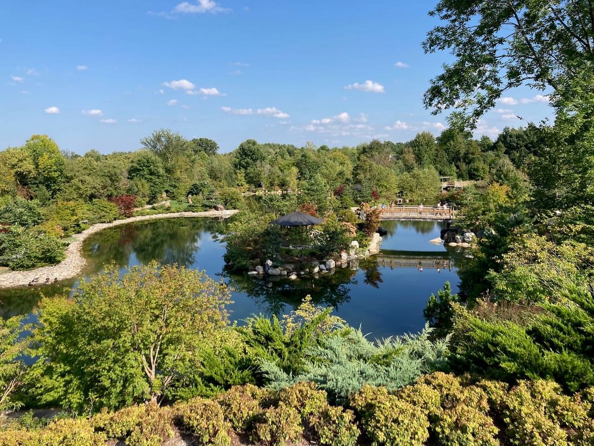 Slowing Down: Japanese Gardens