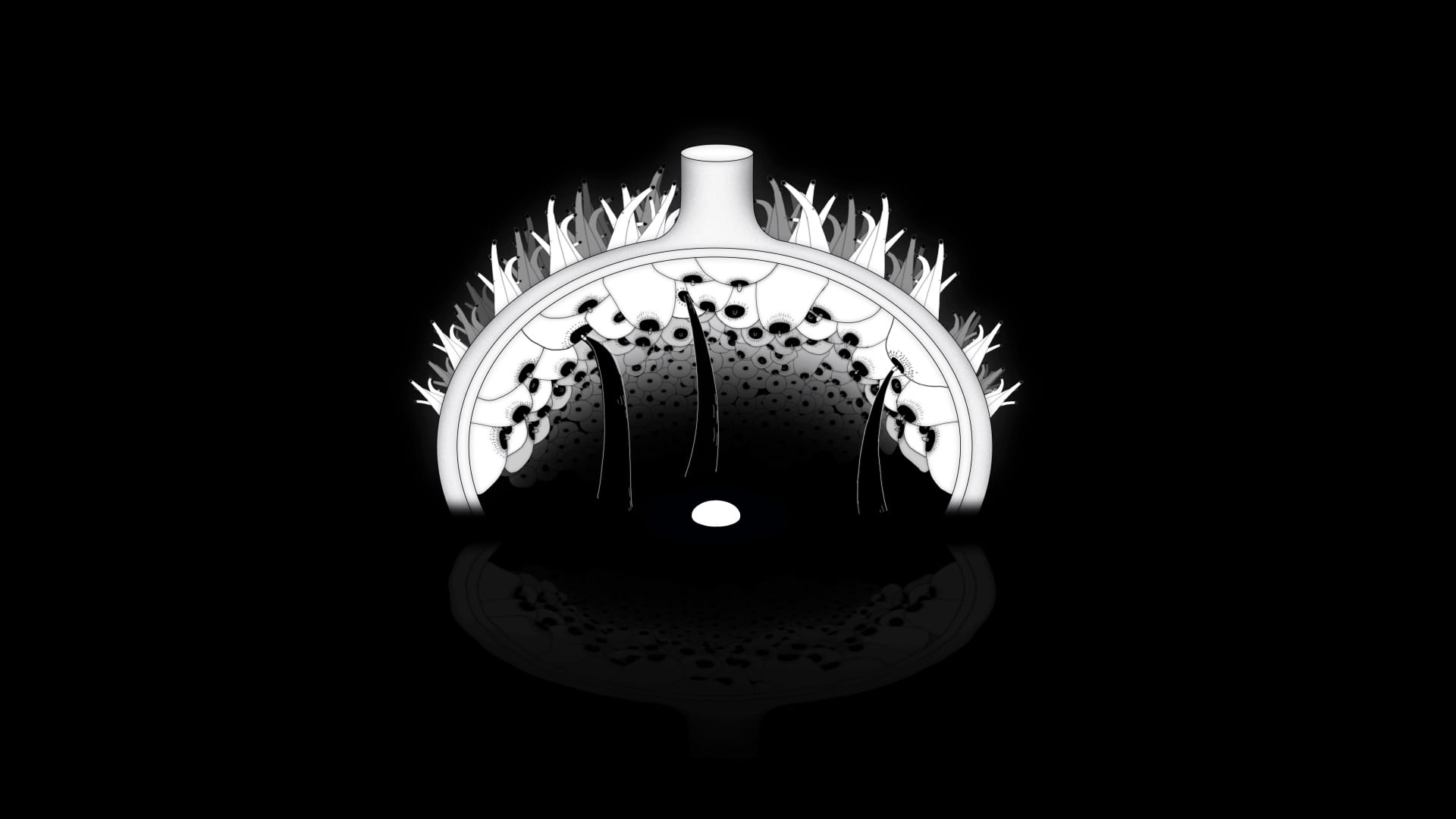 EGG_Stills_002