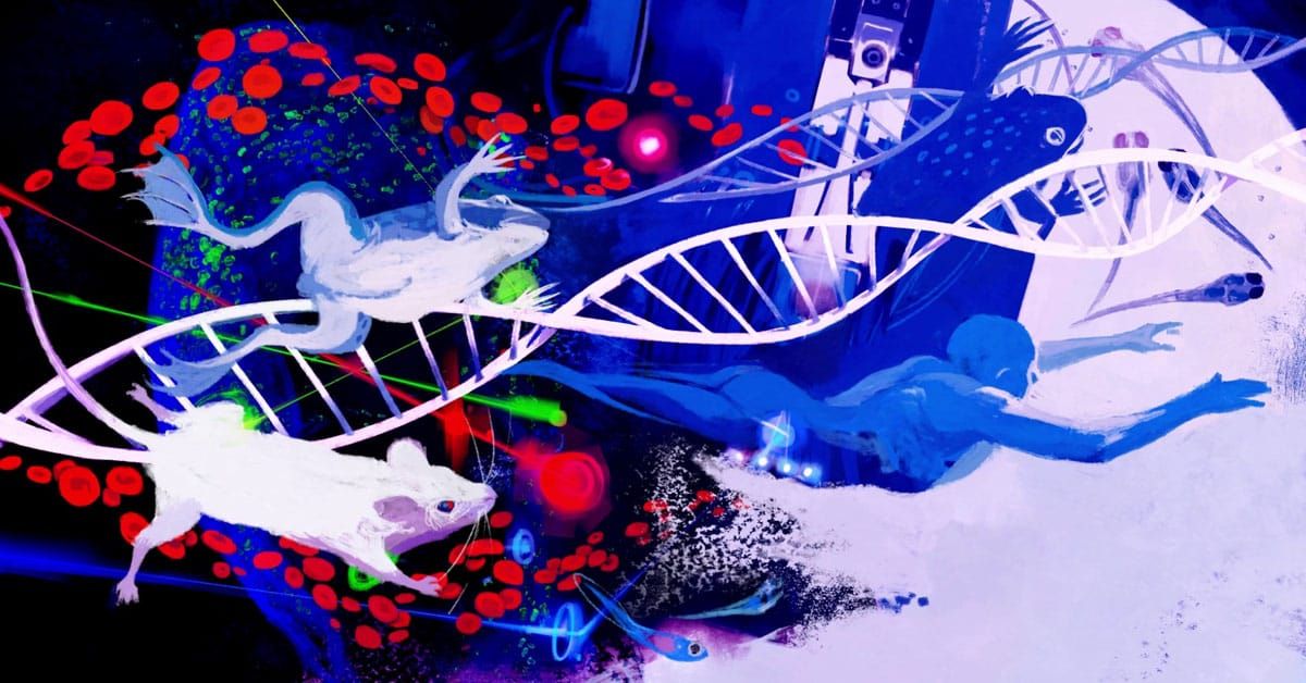 Bringing research to life through short animations