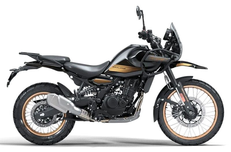 Getting Another Himalayan