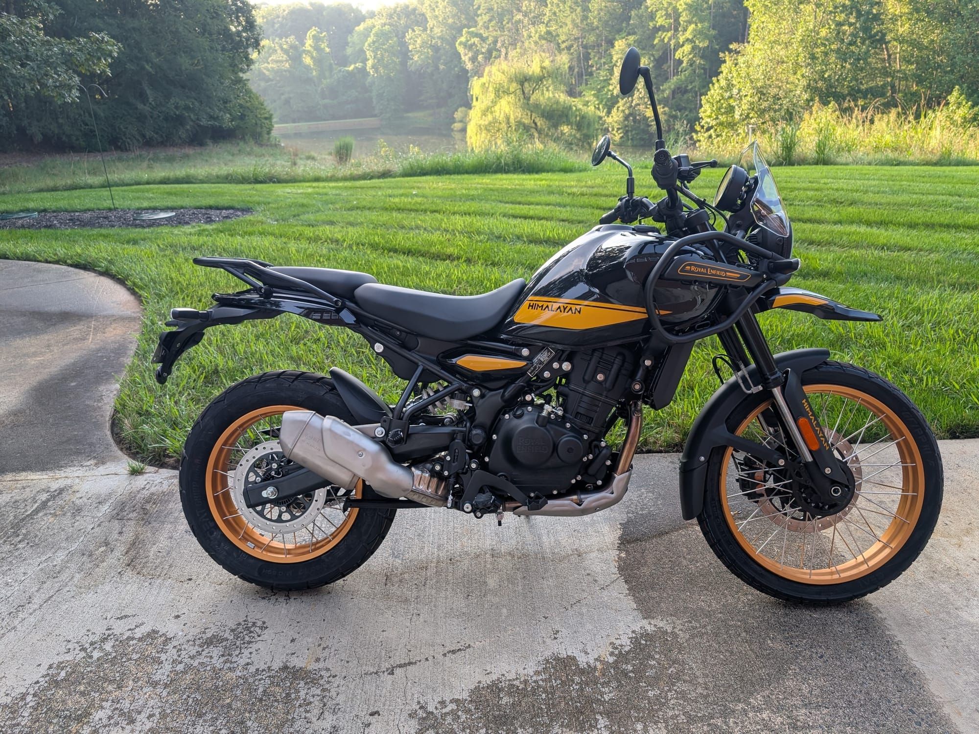 Bought Another Himalayan