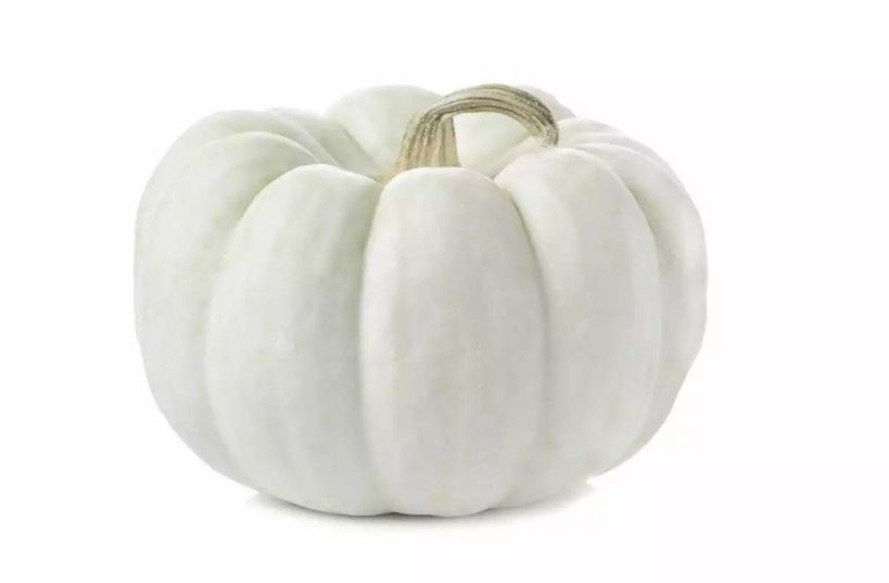 Our shoppers can help create green spaces in their communities when they buy a special pumpkin this Halloween