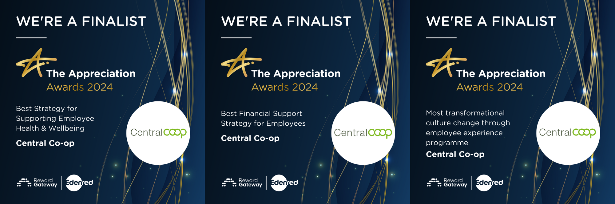 Appreciation Awards 2024 finalists!