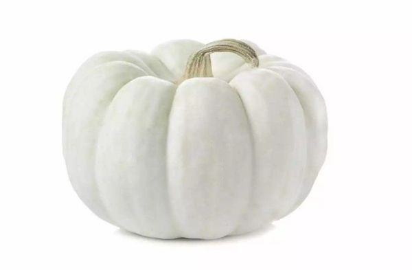 Central England Co-op customers help to create green spaces in their community as Halloween campaign proves a hit