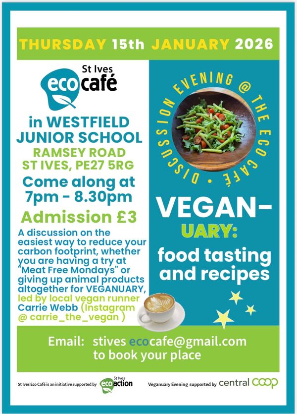 St Ives Eco Cafe