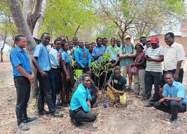 OurCoop's tree planting promise continues to make a difference