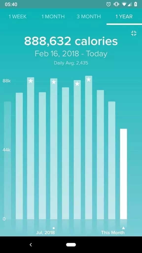 A year of Fitbit statistics...