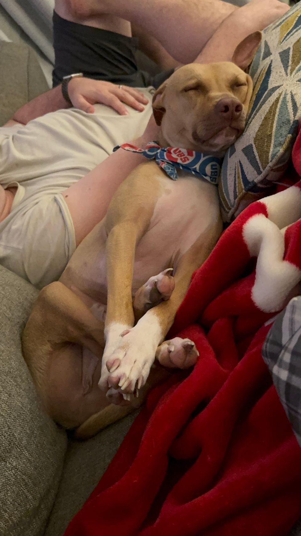 Stuck (A Lyric Essay I'd Love You to Read Please and Thank You)