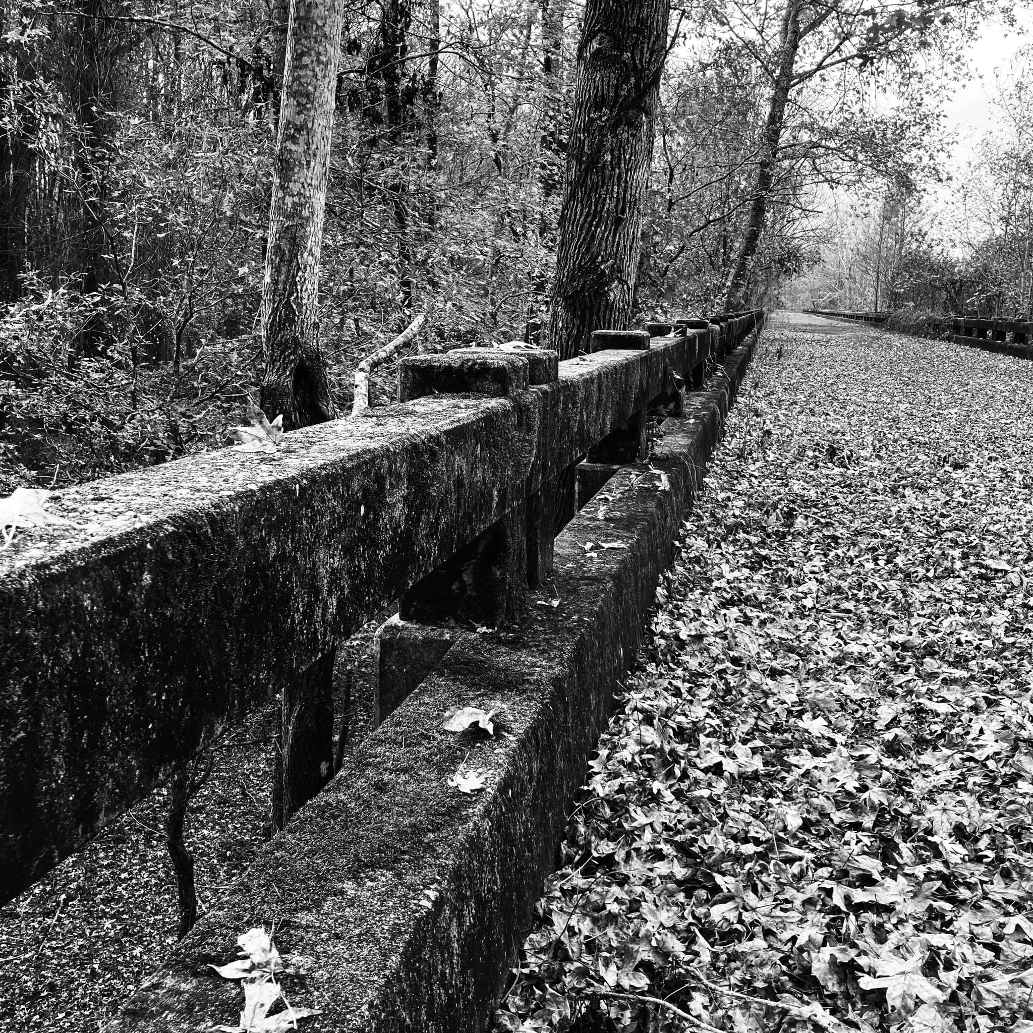 Last Night I Dreamed I Was You