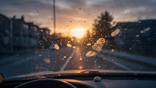 The Dirty Windshield