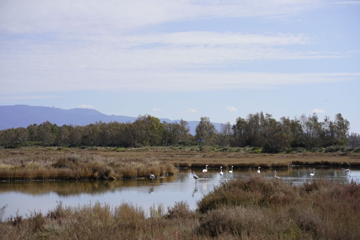 🌱 #1 Quelle terre di mezzo dove ogni cosa è possibile