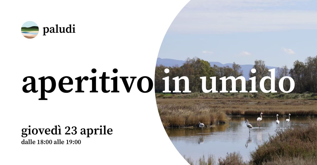 🌱 Aperitivo in umido: oggi il primo incontro online della community di Paludi