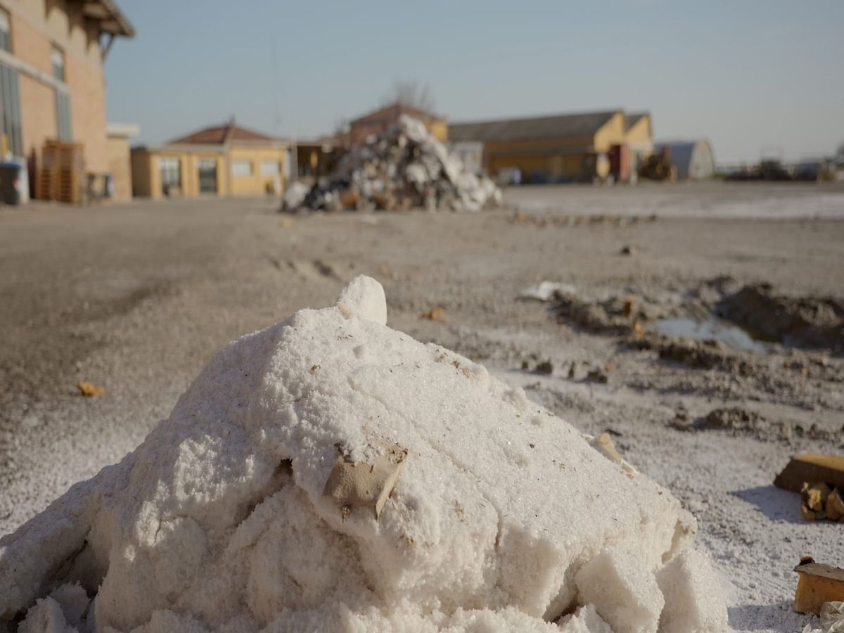 🌱 #12 Cervia, la salina che ha salvato la città