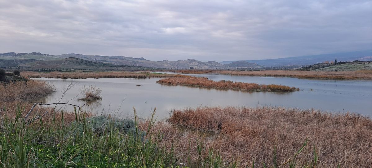 🌱 #13 Antropologia delle zone umide