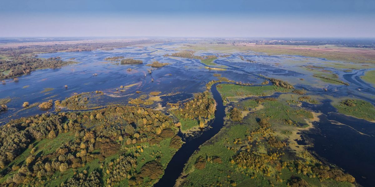 🌱 #14 Zone umide contro la crisi climatica