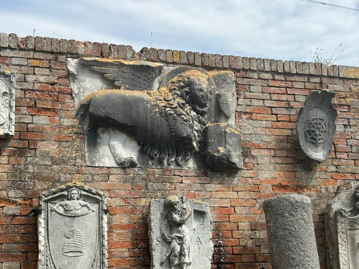 🌱 #25 Venezia, agricoltura tra acqua e sale